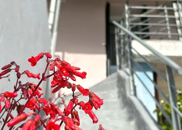 度假居 Grandmother's House